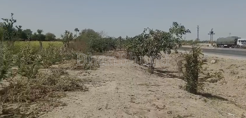 property_images/agricultural_in_pali_1787830708_6a9021b48cf25.png