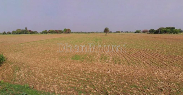 featured_img