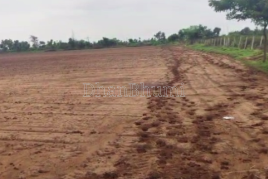 property_images/agricultural_in_pali_1792047357_6ad078fdd323d.png