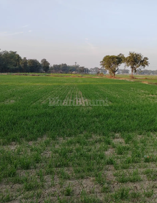 property_images/agricultural_in_palwal_1782713993_6a420e89be269.png