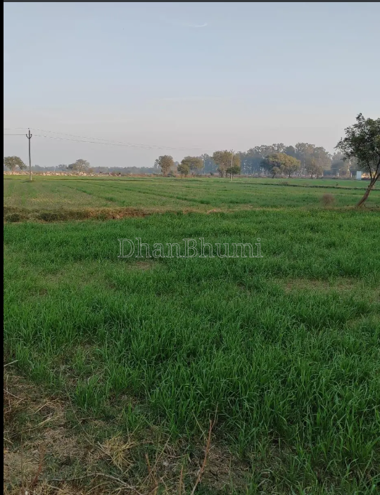 property_images/agricultural_in_palwal_1782714024_6a420ea89b0d5.png