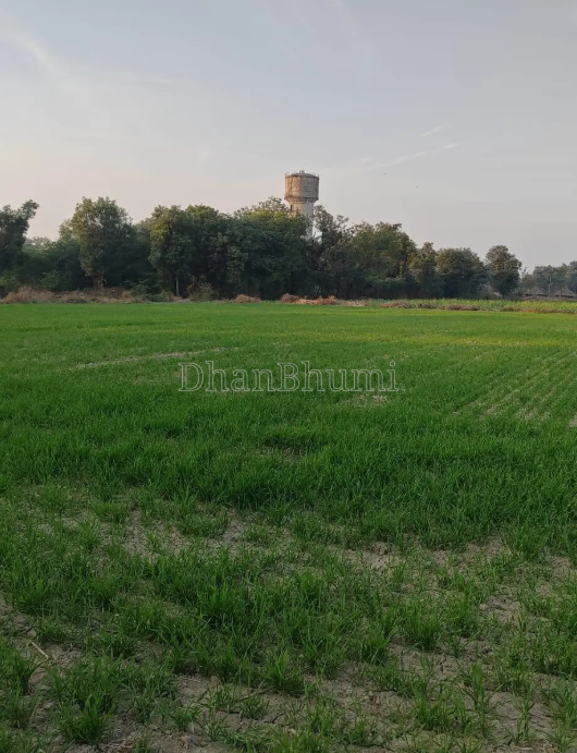 property_images/agricultural_in_palwal_1782714033_6a420eb12e1be.png