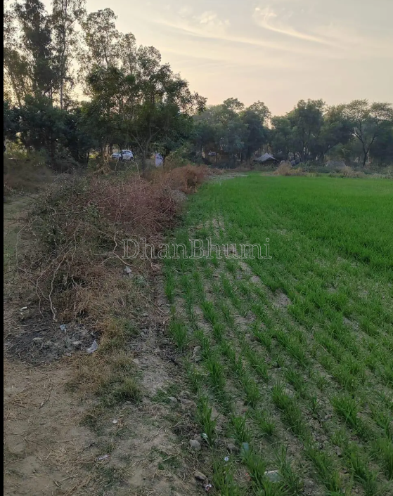 property_images/agricultural_in_palwal_1782714225_6a420f71a30f3.png