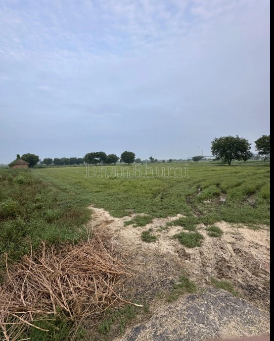 property_images/agricultural_in_palwal_1782714930_6a421232e45ea.png