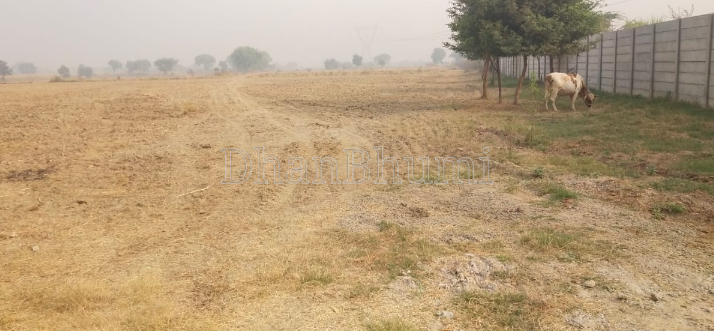 property_images/agricultural_in_palwal_1782715460_6a421444cf152.png