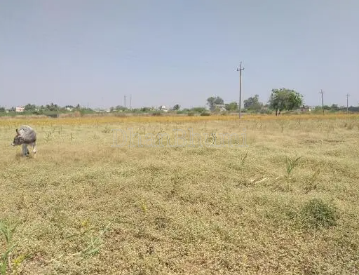property_images/agricultural_in_palwal_1782716148_6a4216f4eeb25.png