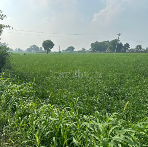 property_images/agricultural_in_palwal_1784788098_6a61b482e7331.png