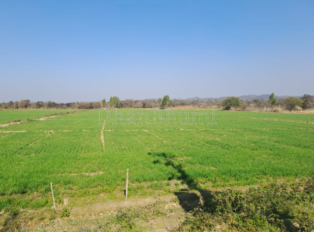 property_images/agricultural_in_palwal_1784789514_6a61ba0aab148.png