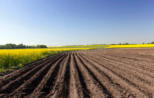 property_images/agricultural_in_palwal_1785147157_6a672f151942d.png