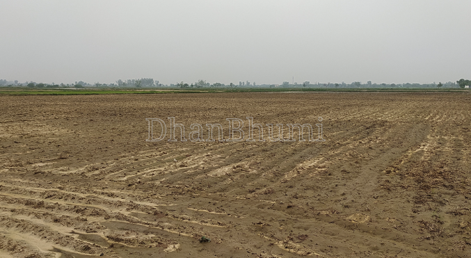 property_images/agricultural_in_palwal_1785224784_6a685e5015bb0.png
