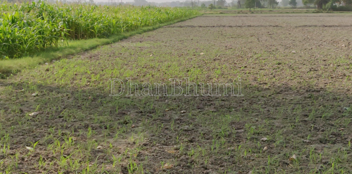 property_images/agricultural_in_palwal_1785225120_6a685fa04b775.png