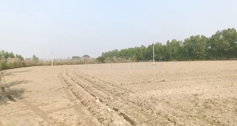 property_images/agricultural_in_palwal_1785229461_6a687095b1541.png