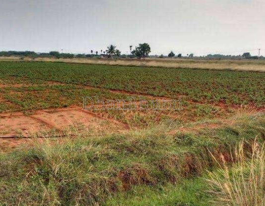 property_images/agricultural_in_palwal_1785322263_6a69db17a4d91.PNG