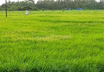 property_images/agricultural_in_palwal_1788338794_6a97e26a955c3.png
