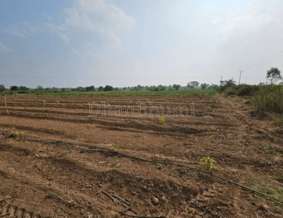 property_images/agricultural_in_palwal_1788438012_6a9965fcbbd8f.png