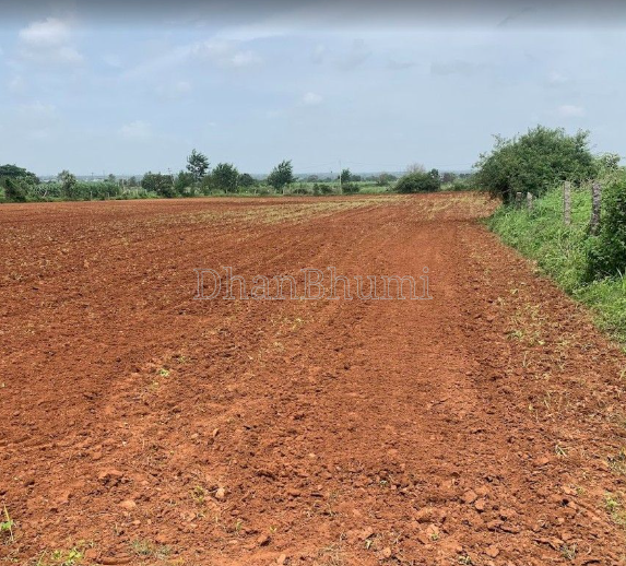 property_images/agricultural_in_palwal_1789103857_6aa38ef10dc62.png