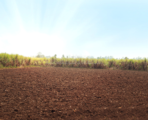 property_images/agricultural_in_palwal_1789104056_6aa38fb8783cc.png