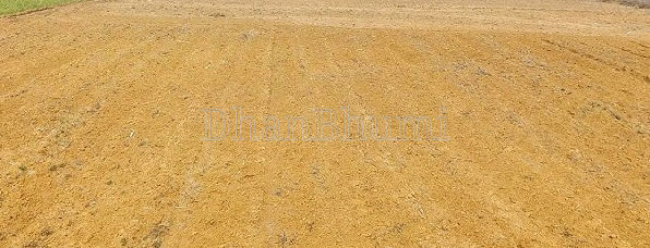 property_images/agricultural_in_palwal_1789105442_6aa39522373ac.png