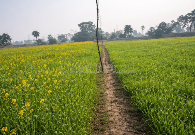 property_images/agricultural_in_palwal_1789820642_6aae7ee235f19.PNG