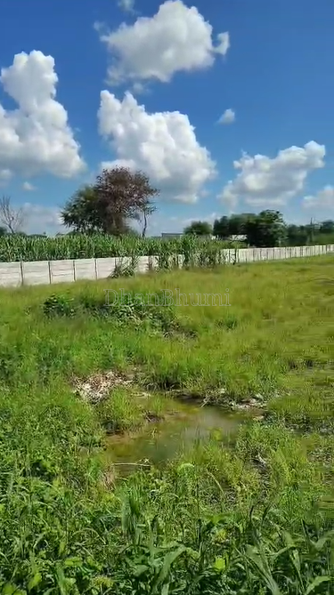 property_images/agricultural_in_palwal_1790146437_6ab377859545d.png