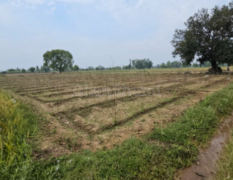 property_images/agricultural_in_palwal_1790146944_6ab37980b697c.png