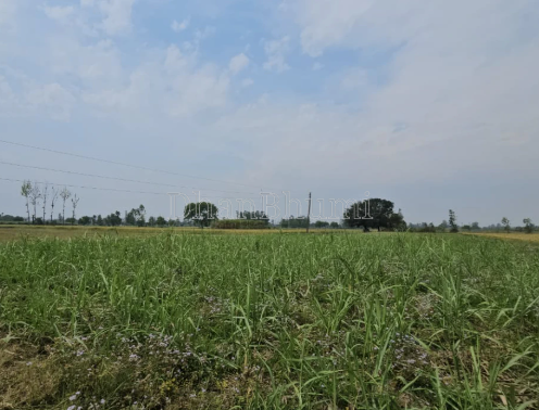 property_images/agricultural_in_palwal_1790147169_6ab37a61b7d49.png