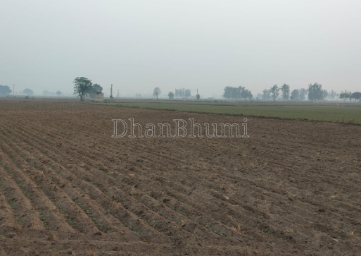 property_images/agricultural_in_palwal_1790148578_6ab37fe25c9e4.png