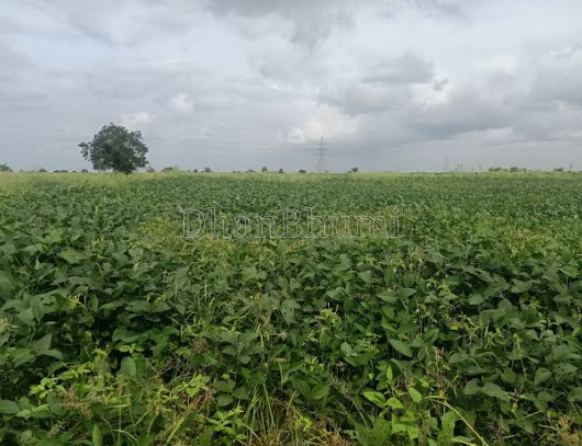property_images/agricultural_in_palwal_1790162478_6ab3b62e0ed49.PNG