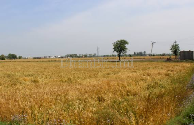 property_images/agricultural_in_palwal_1791204414_6ac39c3ed1e25.PNG