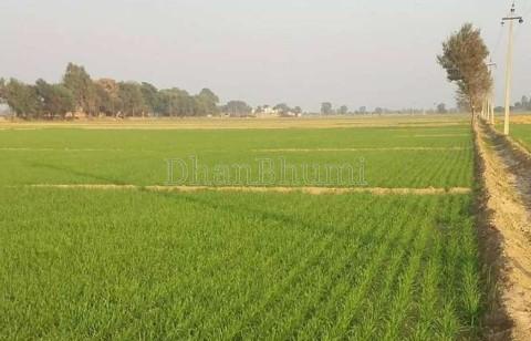 property_images/agricultural_in_panchkula_1781250951_6a2bbb87bbcf8.jpg