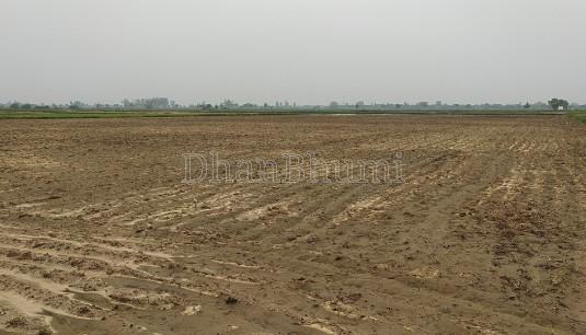 property_images/agricultural_in_panchkula_1781256524_6a2bd14c76f1c.jpg