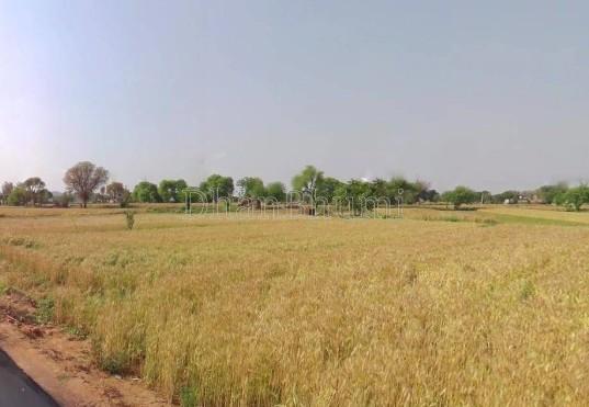 property_images/agricultural_in_panchkula_1781257729_6a2bd601b22ce.jpg