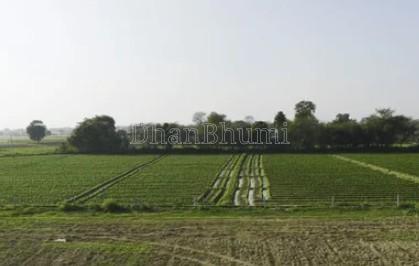 property_images/agricultural_in_panchkula_1781329668_6a2cef04cdd71.jpg