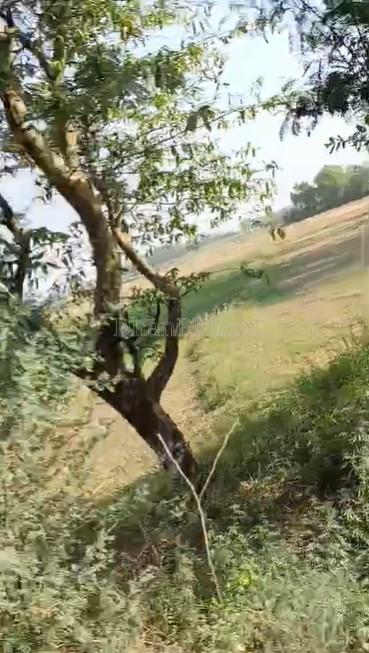 property_images/agricultural_in_panchkula_1781330459_6a2cf21b7276f.jpg