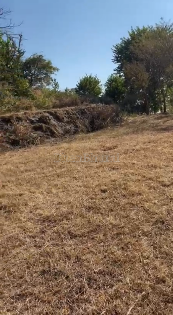 property_images/agricultural_in_panchkula_1784009464_6a55d2f8aa4be.PNG