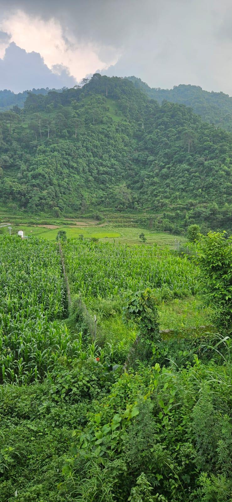 property_images/agricultural_in_panchkula_1789872012_6aaf478cc3c1f.jpg