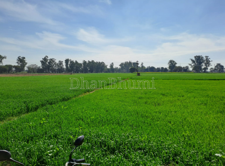 property_images/agricultural_in_panchmahals_1786175861_6a76e175d2dfc.png
