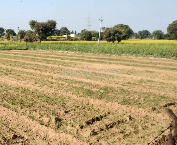 property_images/agricultural_in_pandhurna_1788436446_6a995fde1c06e.PNG