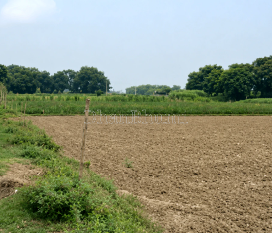 property_images/agricultural_in_pandhurna_1788436686_6a9960cec44d9.PNG
