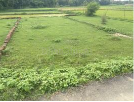 property_images/agricultural_in_pandhurna_1788437223_6a9962e70dd0f.PNG