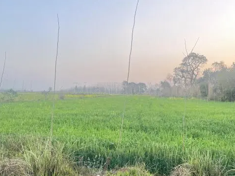 property_images/agricultural_in_panna_1781873201_6a353a3109110.PNG