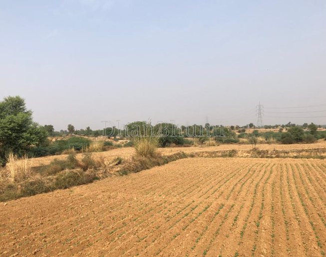 property_images/agricultural_in_panna_1786966323_6a82f133038aa.PNG