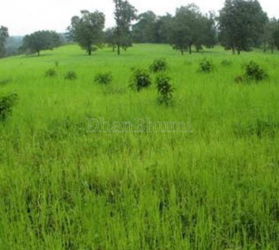 property_images/agricultural_in_panna_1786966623_6a82f25f0561f.PNG