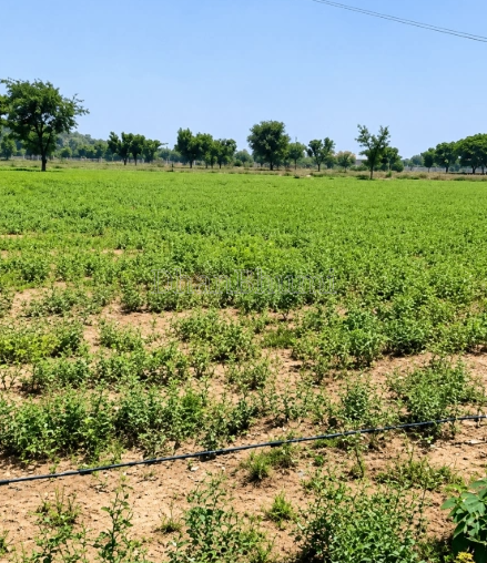 property_images/agricultural_in_panna_1786968134_6a82f8467e938.PNG