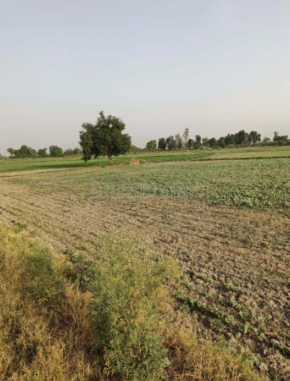 property_images/agricultural_in_panna_1786968360_6a82f92852232.PNG