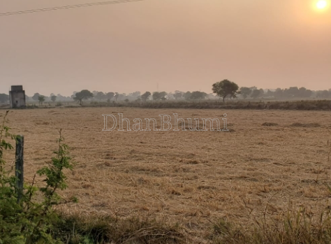 property_images/agricultural_in_pathankot_1780661750_6a22bdf6cfb8d.PNG