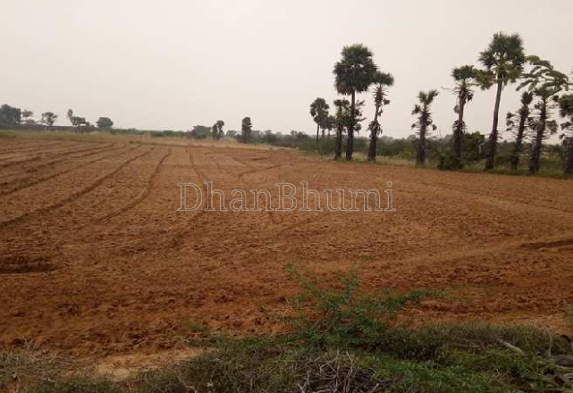 property_images/agricultural_in_patiala_1788432036_6a994ea461bd7.png