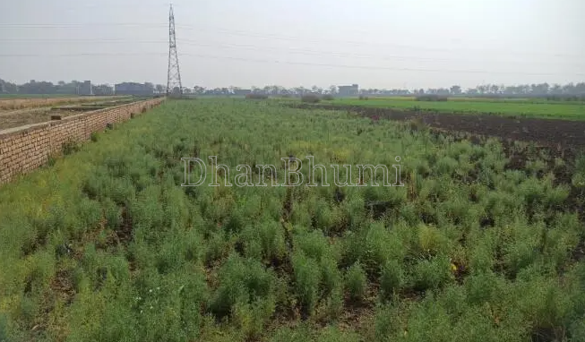 property_images/agricultural_in_patna_1781611390_6a313b7ec2636.PNG