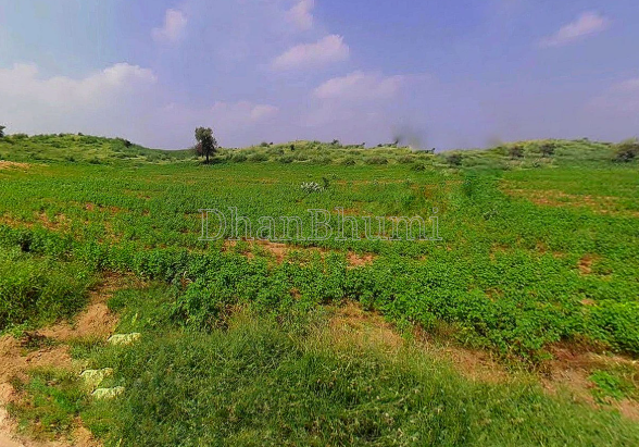 property_images/agricultural_in_patna_1781611588_6a313c447bbf3.PNG
