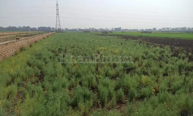 property_images/agricultural_in_patna_1781774524_6a33b8bce5b33.PNG